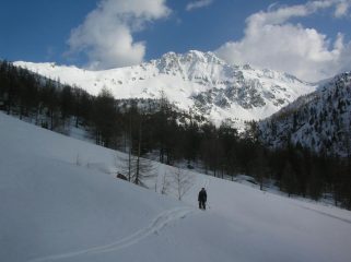 Tratto intermedio della Comba di Vessona. Sullo sfondo il Monte Faroma.
