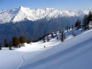 sul pistone nel bosco