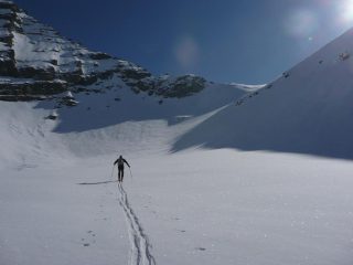il solito battitraccia (grazie)