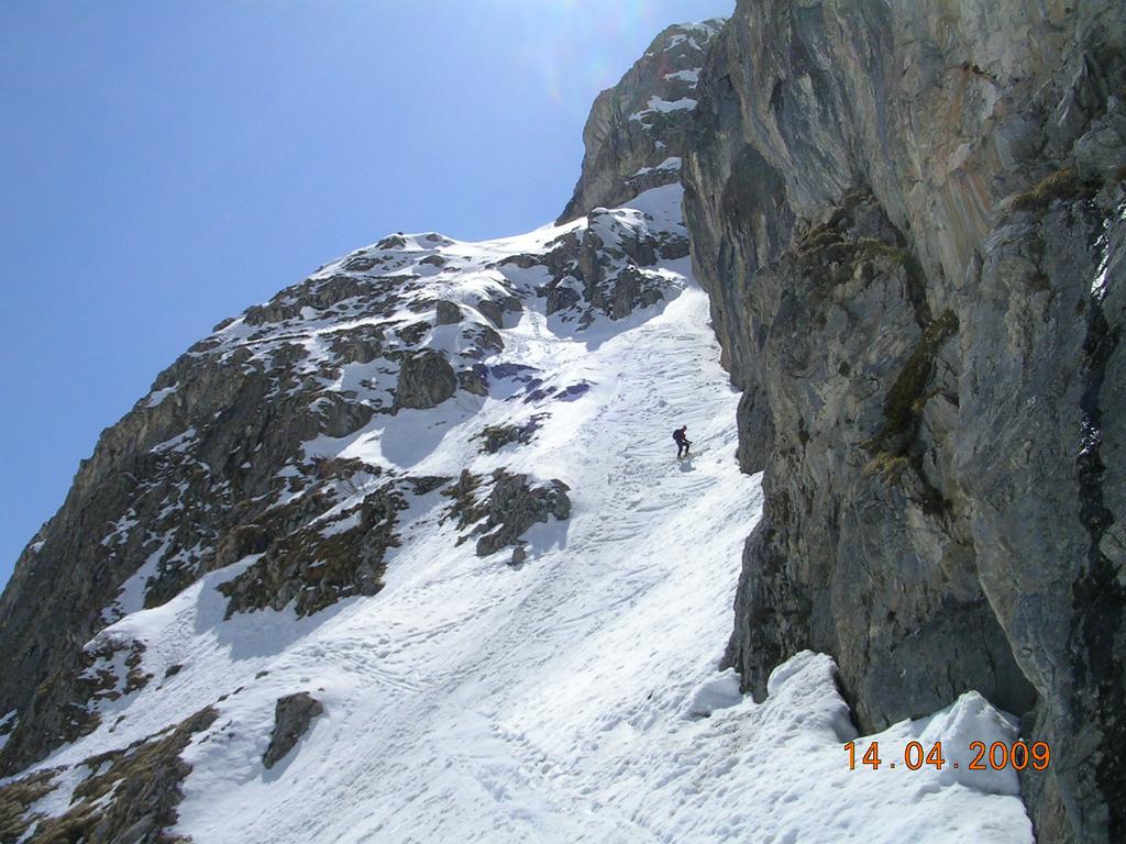 sotto il rif. stroppia