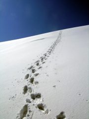 discesa a piedi (20m)