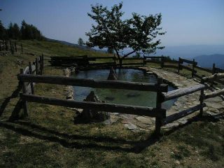 il nuovo laghetto