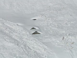 Alpe Chaulieres
