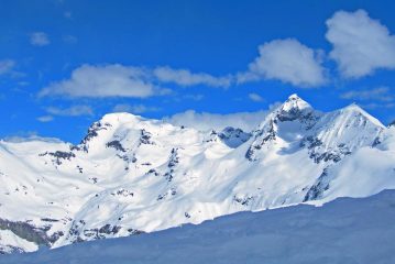 roisetta e tournalin