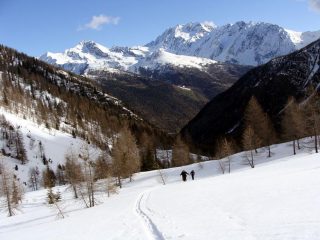 all'uscita del bosco