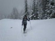 Parte bassa nel bosco