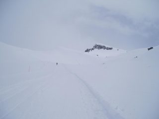 salnedo al colle