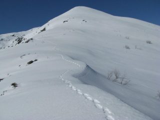 La cresta nord-est dell'antecima Palit quota 2070