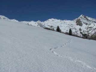 La torretta dell'Osservatorio Faunistico