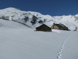 Le Alpi Giasvere