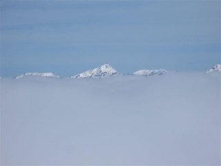 il confine della nebbia