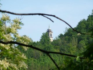 Campanile di Crea dal bosco.