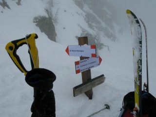 Palina del colle