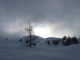 Un pò di sole.....
