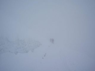 nebbia