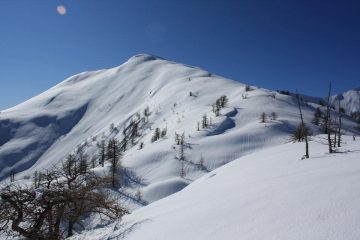il gran truc dalla cresta no