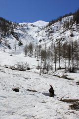 il vallone di salita