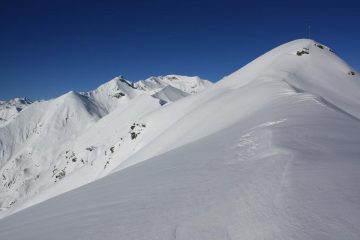 la cima