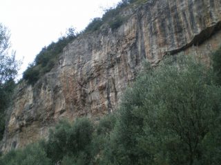 il primo settore