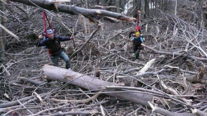 Superamento di valanga nel vallone della Meris