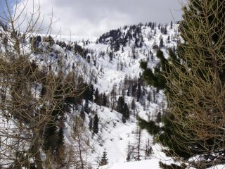 Il divertente 