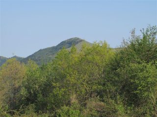 Uno sguardo indietro