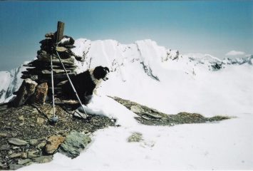 la Taillant dal Foreant