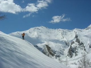 Vergia di sfondo