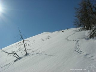 sul 