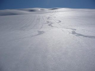 troppo bello!