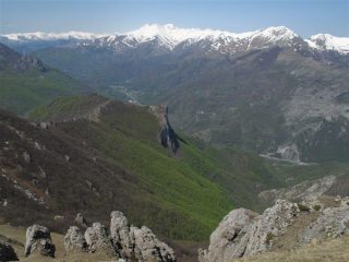 Contrasto marrone, verde, neve