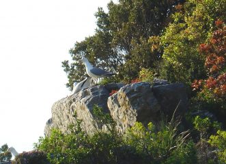 ...e i padroni di casa!