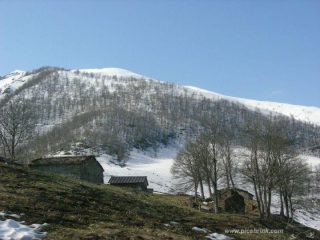 Meire del Piai