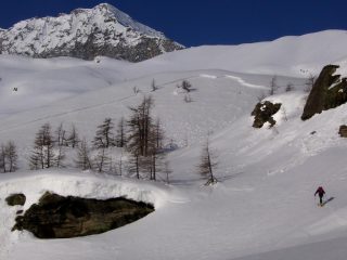 ...distacco.....