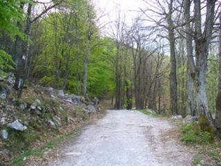 Verso 