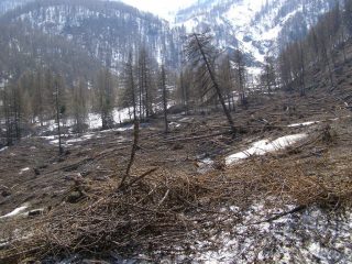 Devastanti valanghe a Pian Gelassa