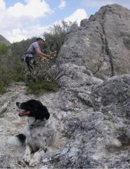 In cima la sorpresa di Dianetta-bau