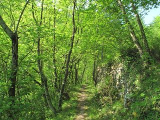 Sul sentiero dopo Borgo