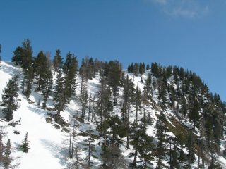 la cresta fatta in alternativa al colle