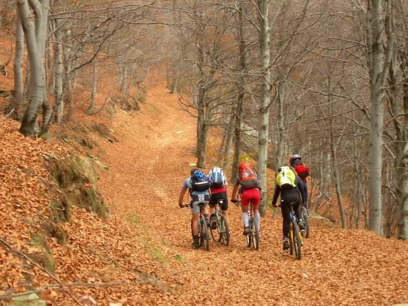 Nei boschi della Sbarua