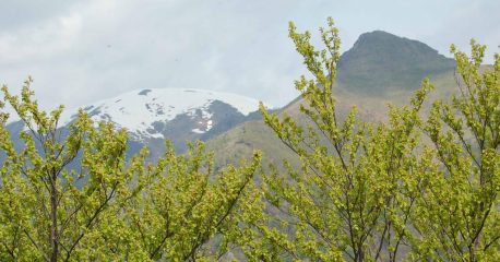 ancora il Tagliarè e l'Alpe di Rittana