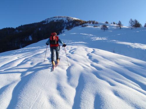 nei pressi dell'alpe ortighera 1500