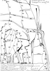 disegno vie del nid des hirondelles
