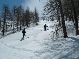ultimo tratto tra i larici