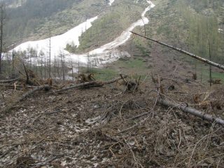 Le devastazioni delle valanghe al Pian Azaria