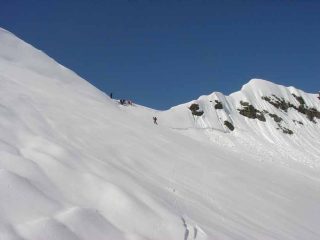 Primi arrivi