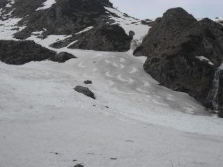Colpi di coda !