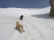 cornice all'uscita