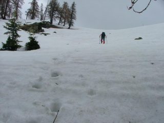 neve primaverile