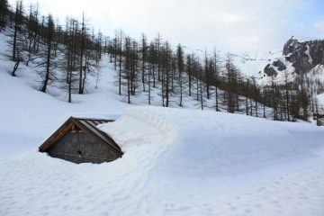 bergerie della gianna nuove